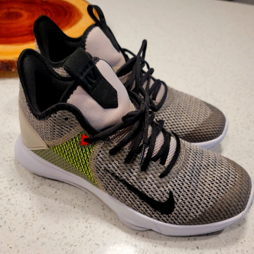 Lebron Witness 4, size 9.5